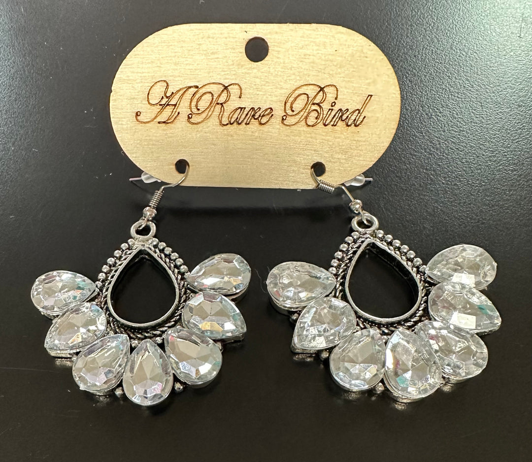 Lisa’s Teardrop Earrings