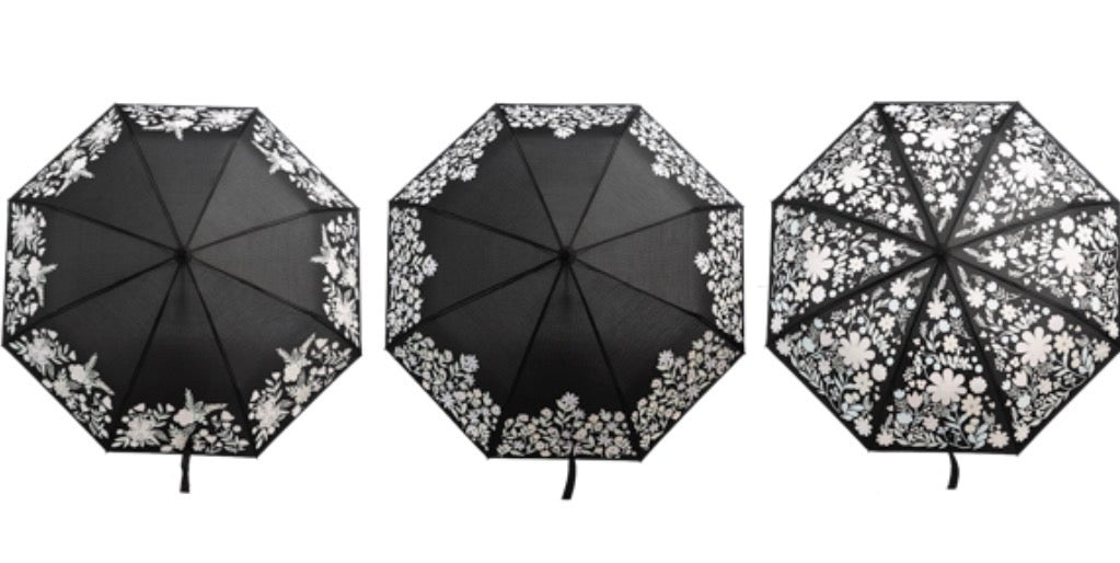 Color Changing Umbrella