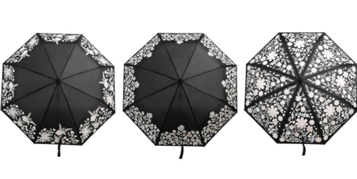 Color Changing Umbrella