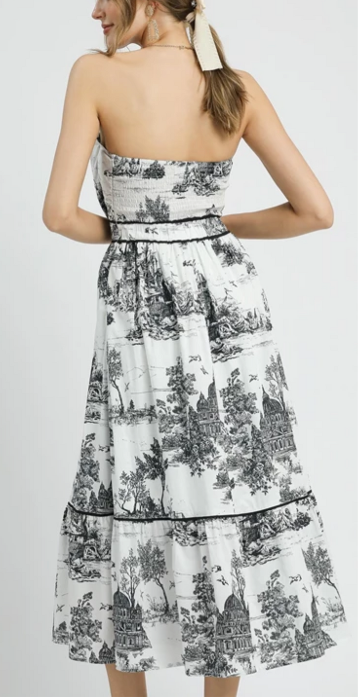 Victorian Splendor Dress