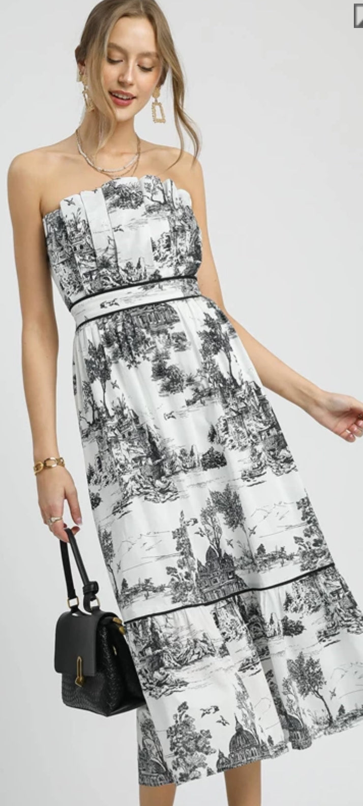 Victorian Splendor Dress