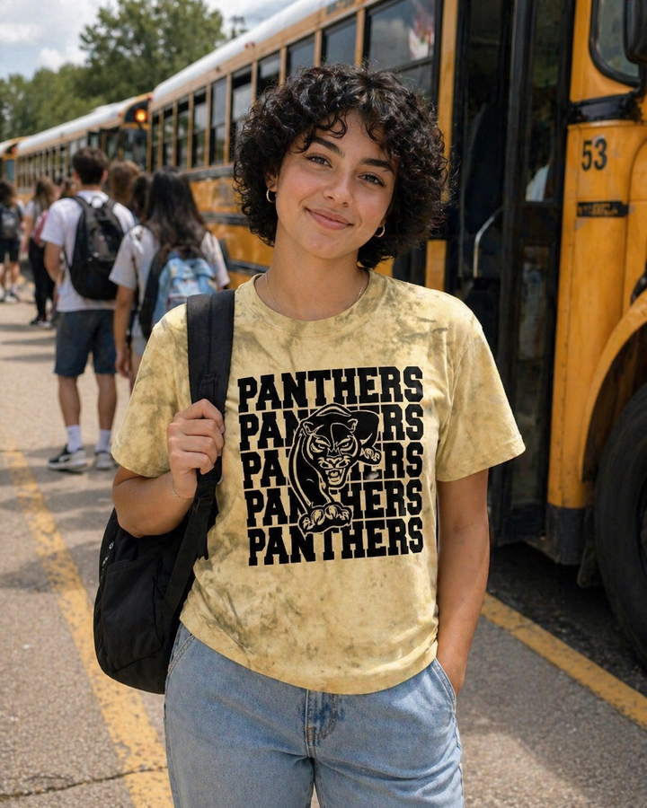 Stacked Panthers school tee