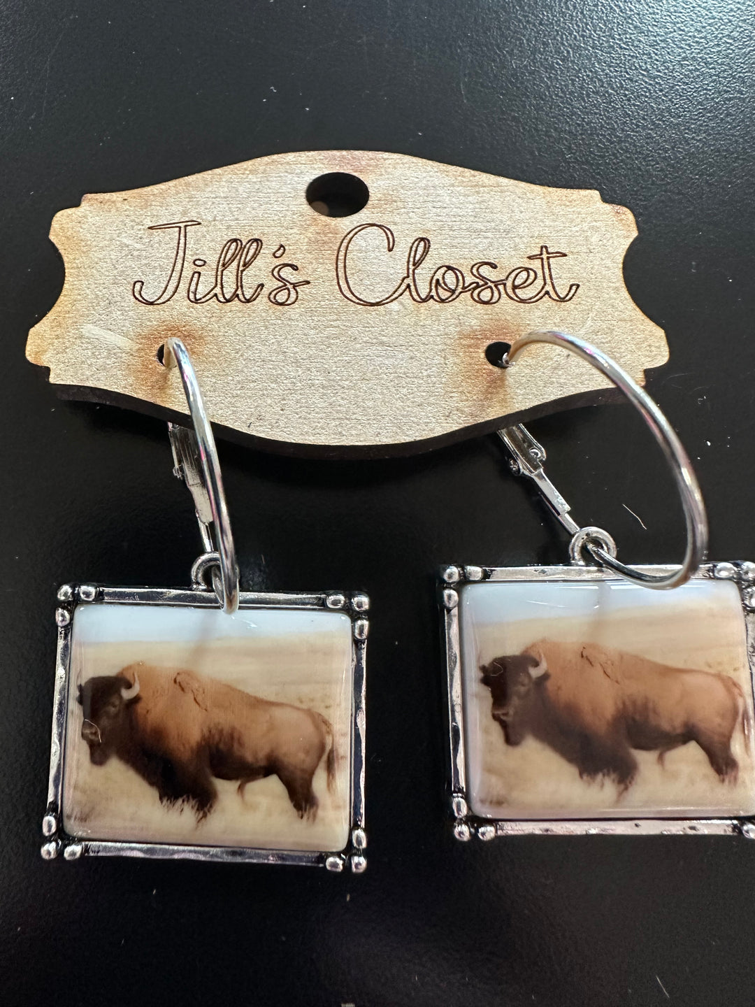 Vintage photo Western Earrings