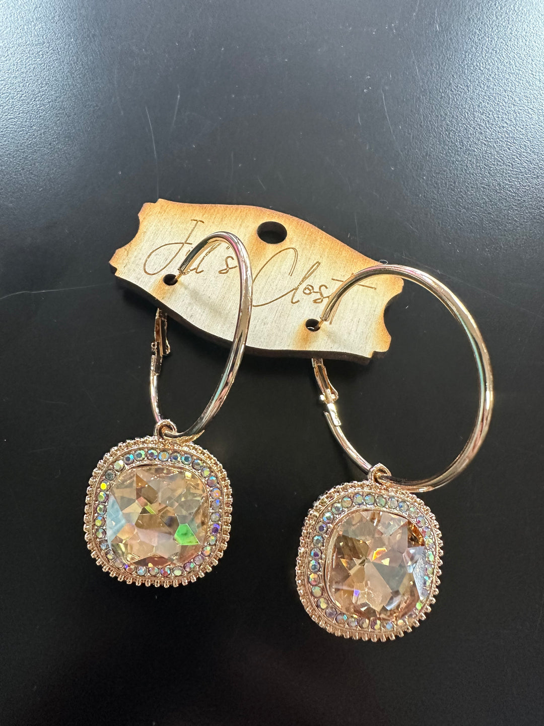 Lg. Pendant Hoop Earrings