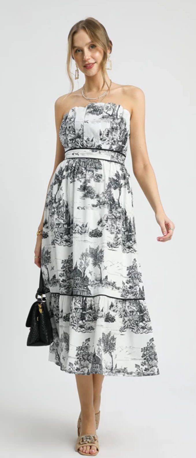 Victorian Splendor Dress