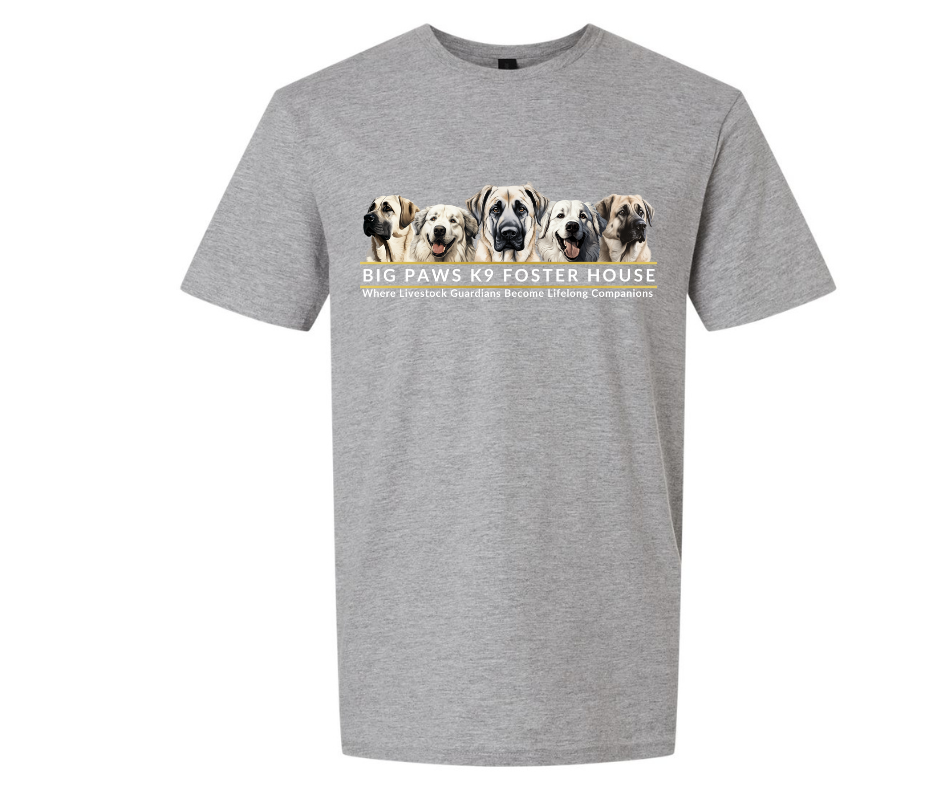 Big Paws Multi Dog Tee