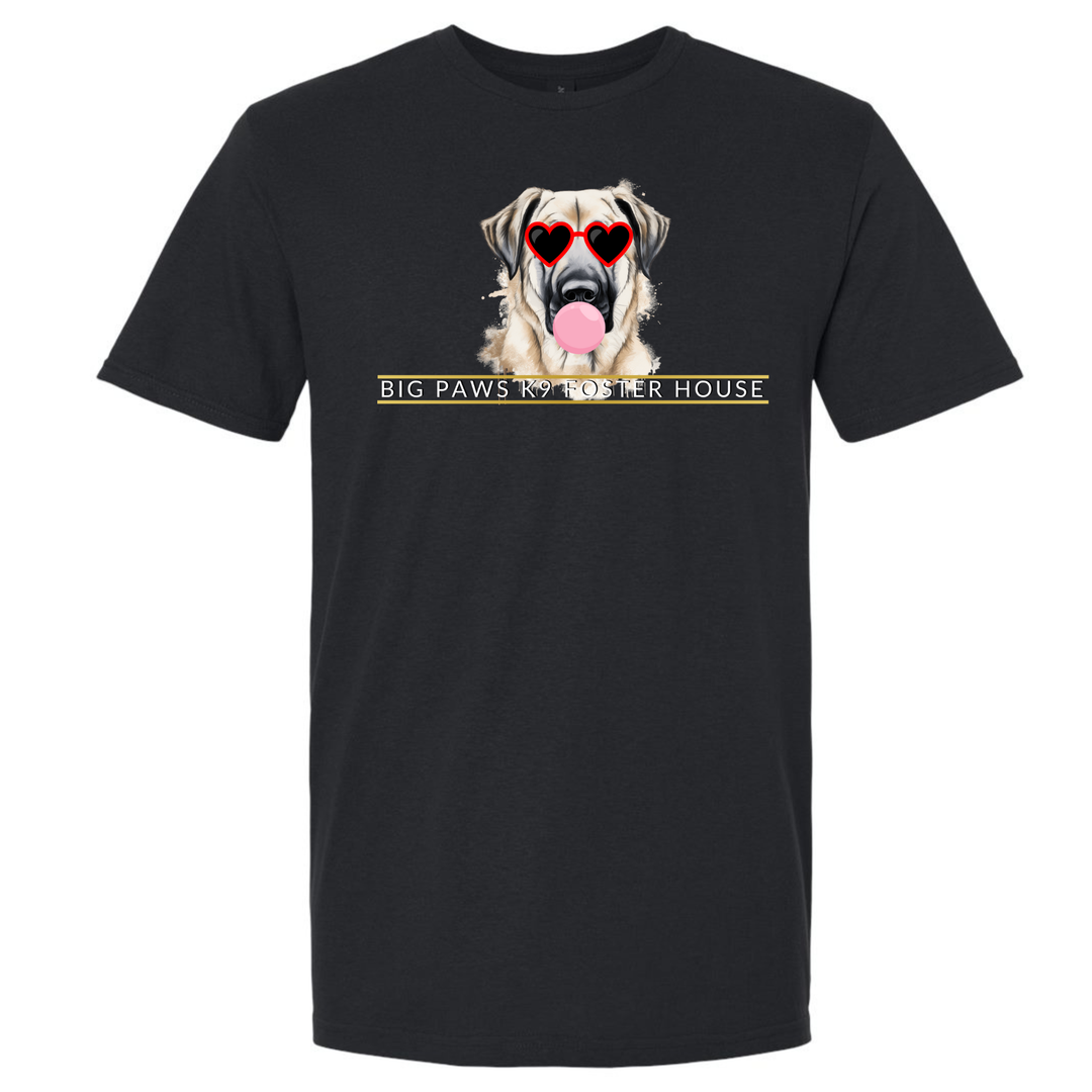 Big Paws Boy Dog Reg Tee