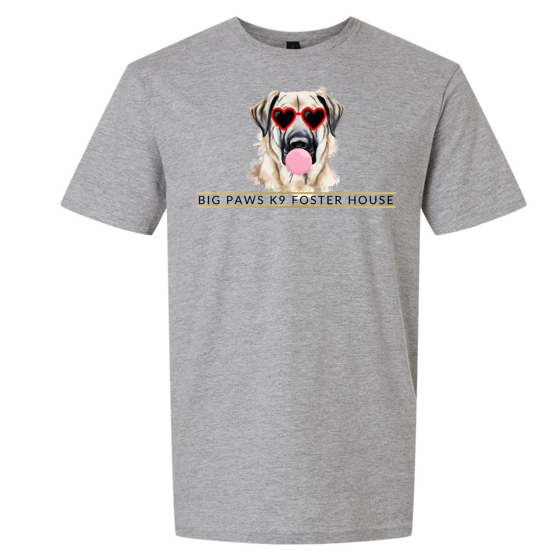 Big Paws Girl Dog Reg Tee