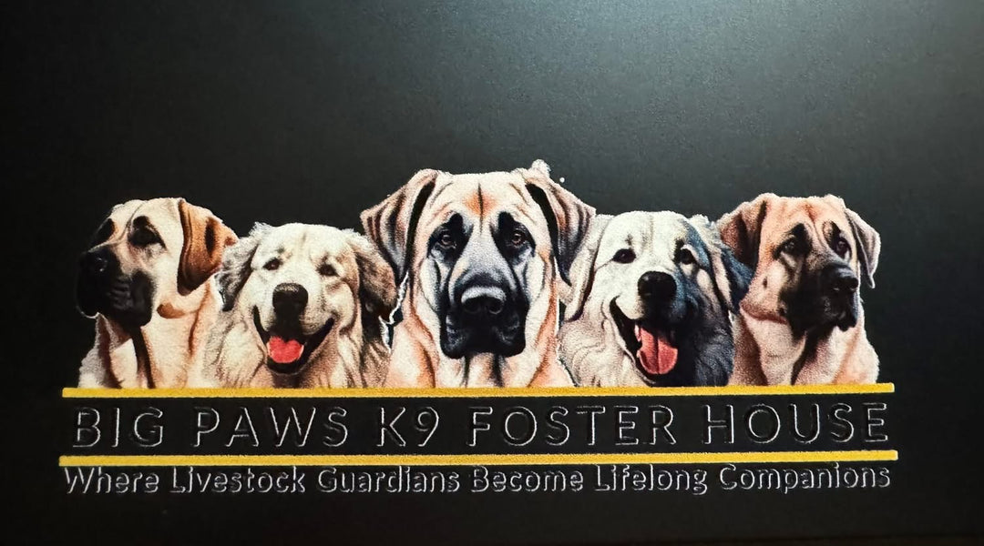 Big Paws K9 Foster Stickers