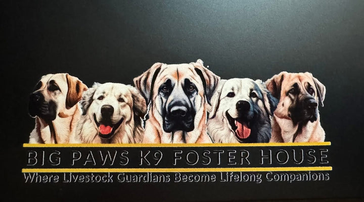 Big Paws K9 Foster Stickers