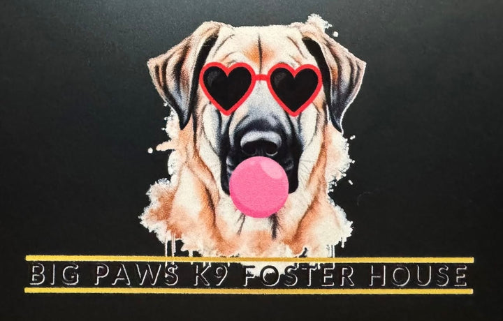 Foster Dog Sticker Big Paws K9 Foster Stickers – Jill's Closet Alvin
