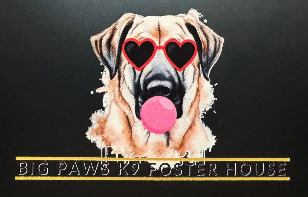 Big Paws K9 Foster Stickers
