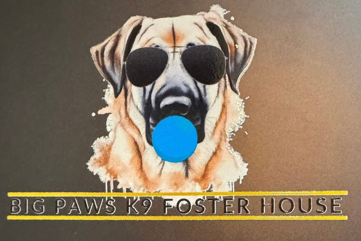 Big Paws K9 Foster Stickers