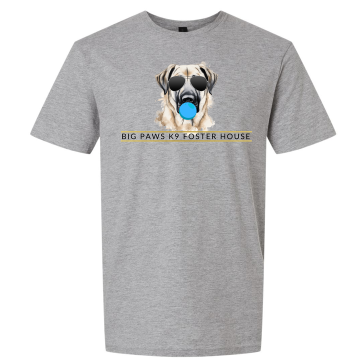 Big Paws Boy Dog Reg Tee