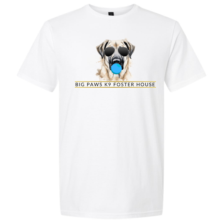 Big Paws Boy Dog Reg Tee
