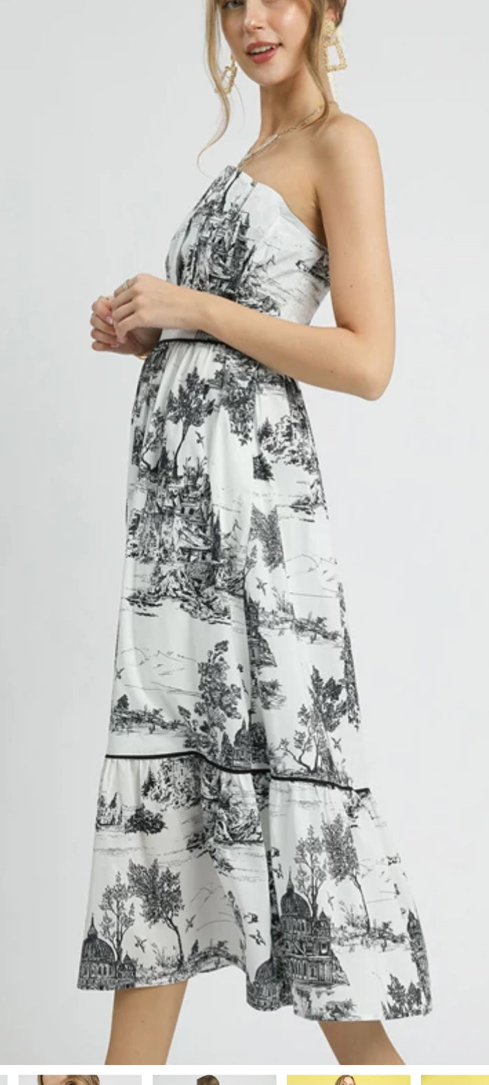 Victorian Splendor Dress