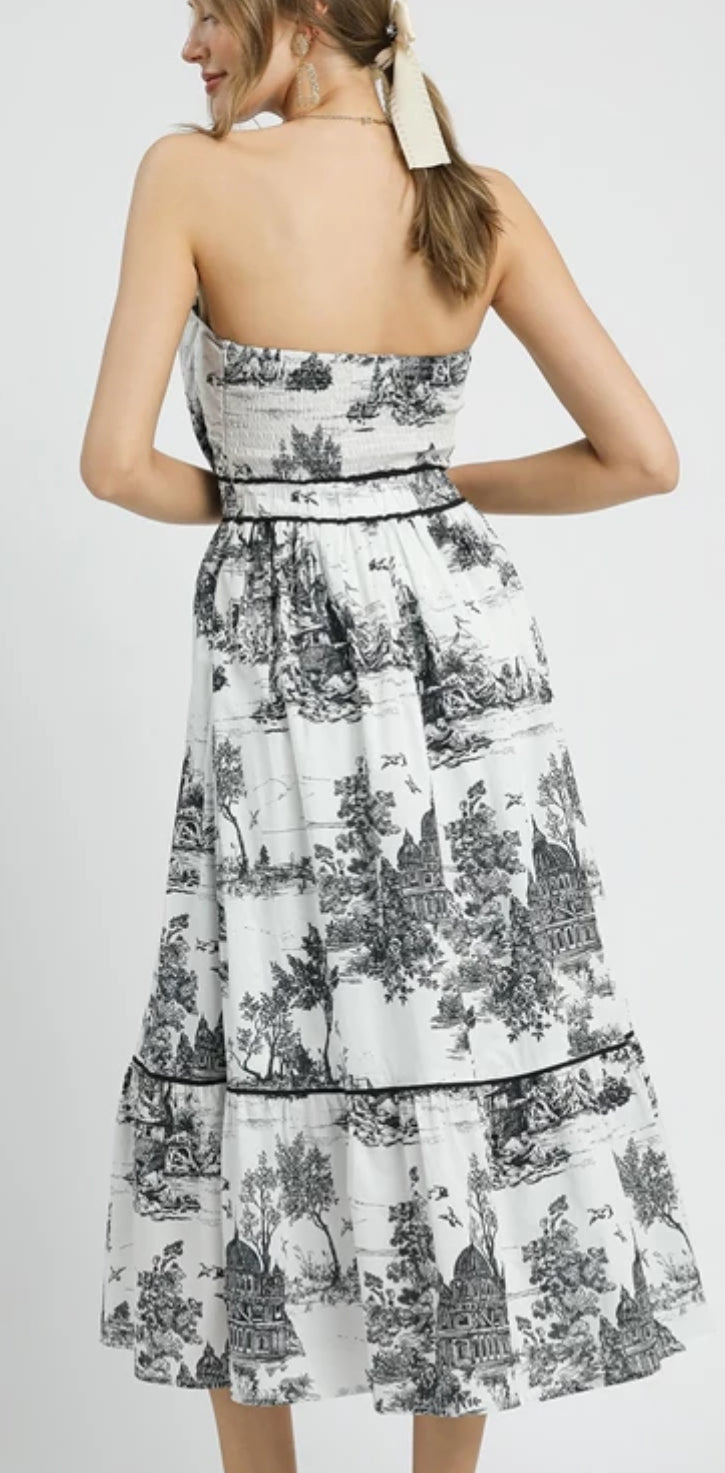 Victorian Splendor Dress