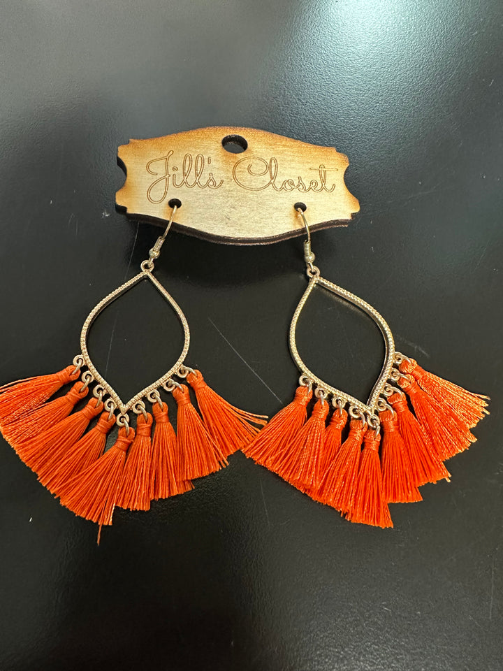 Fringed Tassel earrings.