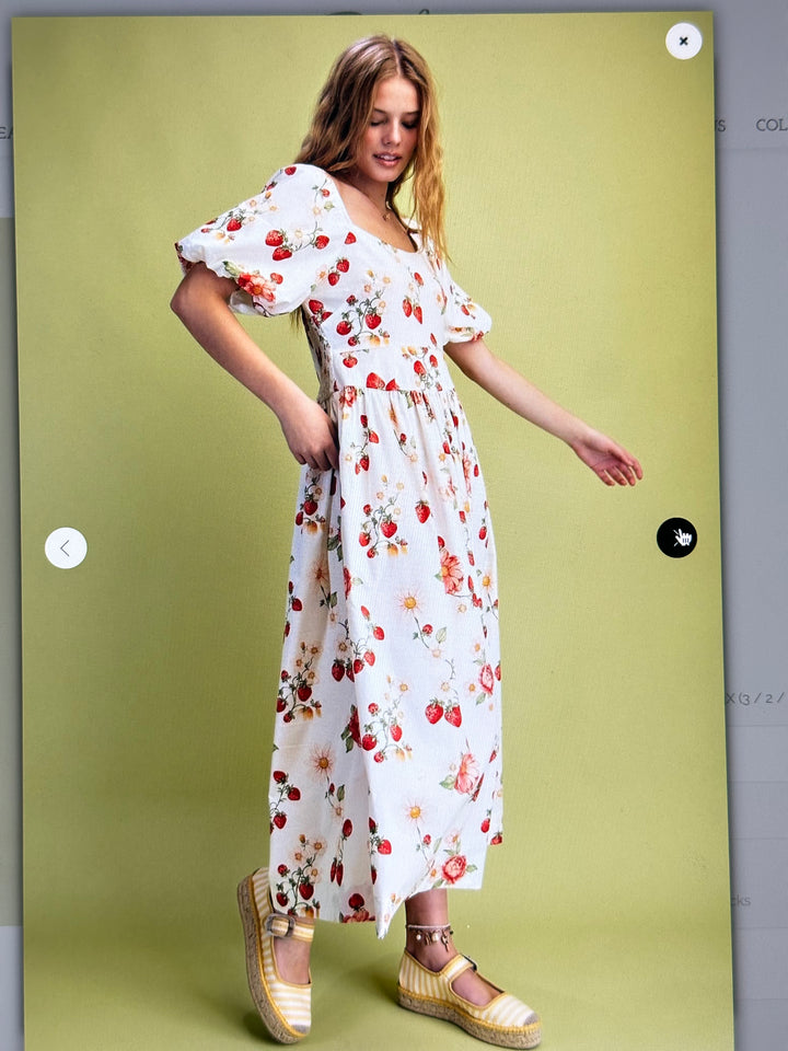 Strawberries and Roses dress