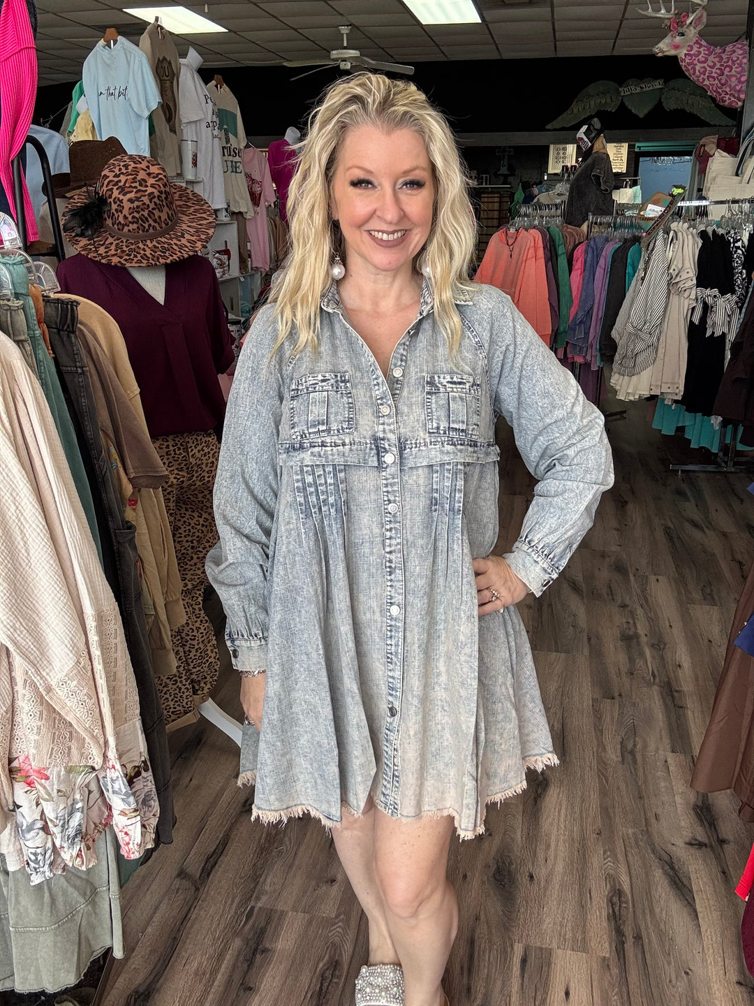 Long Sleeve Chambray Bibi dress