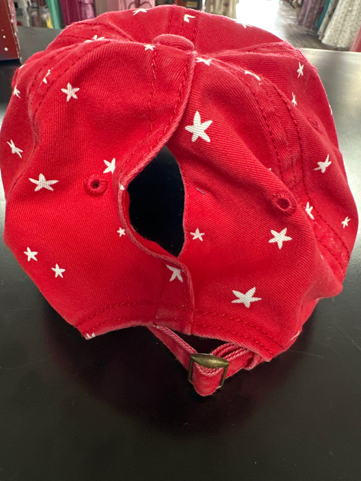 Concealed Pony Tail Trucker Hat