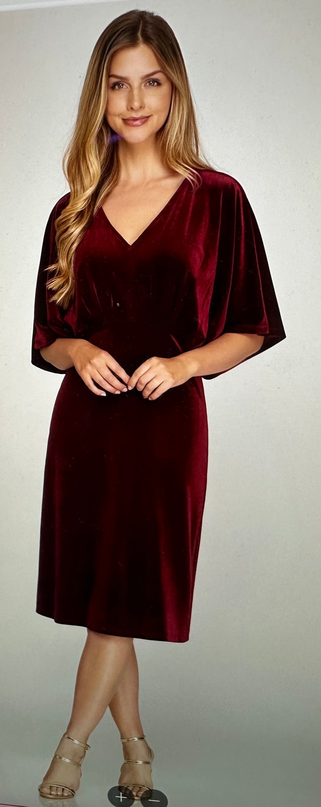 She + Sky velvet dress