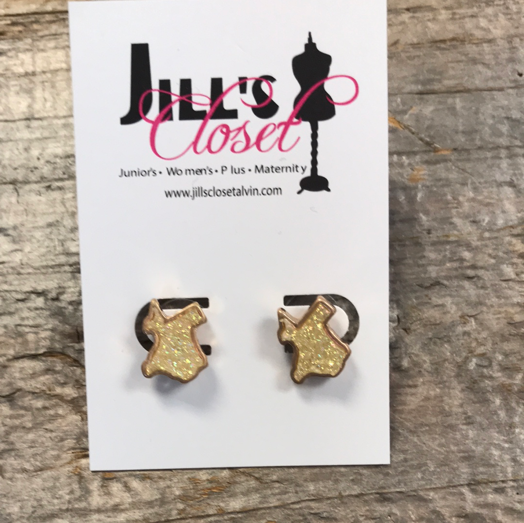 Texas Post Earrings